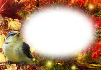 Foto-effetti della categoria Autunno № 191761