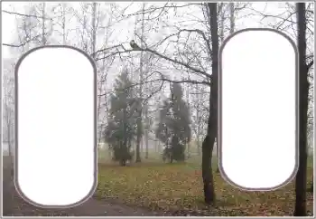 Foto-effetti della categoria Autunno № 191770