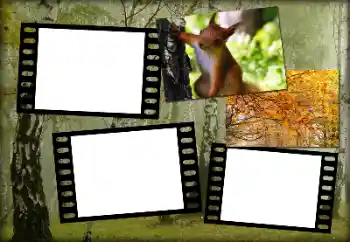 Foto-effetti della categoria Autunno № 192848