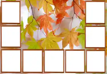 Foto-effetti della categoria Autunno № 195267