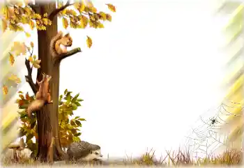 Foto-effetti della categoria Autunno № 196642