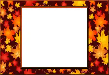 Foto-effetti della categoria Autunno № 198908