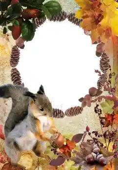 Foto-effetti della categoria Autunno № 2011 Foto-effetti della categoria Autunno № 2011