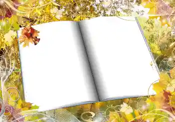 Foto-effetti della categoria Autunno № 2016 Foto-effetti della categoria Autunno № 2016