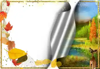 Foto-effetti della categoria Autunno № 2030