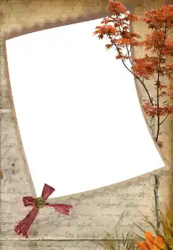 Foto-effetti della categoria Autunno № 3219