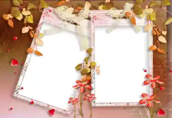 Foto-effetti della categoria Autunno № 33988