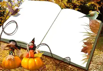 Foto-effetti della categoria Autunno № 34030