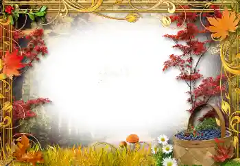 Foto-effetti della categoria Autunno № 34761