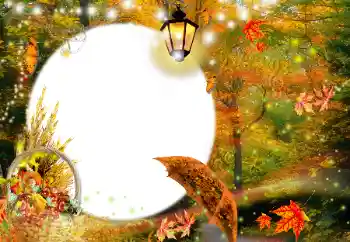 Foto-effetti della categoria Autunno № 35073