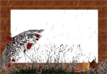 Foto-effetti della categoria Autunno № 56541 Foto-effetti della categoria Autunno № 56541