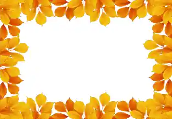 Foto-effetti della categoria Autunno № 58881 Foto-effetti della categoria Autunno № 58881