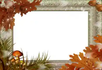 Foto-effetti della categoria Autunno № 59045 Foto-effetti della categoria Autunno № 59045