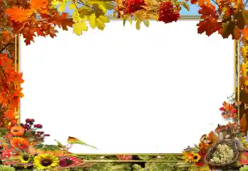 Foto-effetti della categoria Autunno № 62654 Foto-effetti della categoria Autunno № 62654