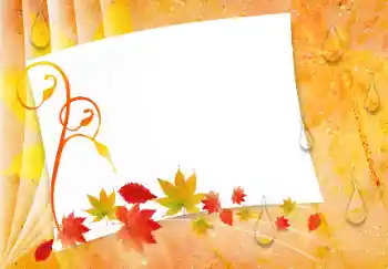 Foto-effetti della categoria Autunno № 9714