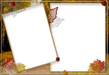 Foto-effetti della categoria Autunno № 9719