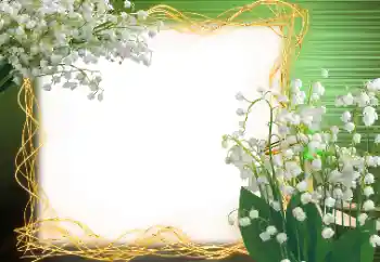 Foto-effetti della categoria Primavera № 113120