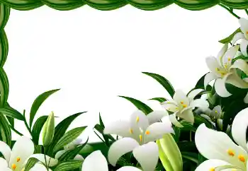 Foto-effetti della categoria Primavera № 113129