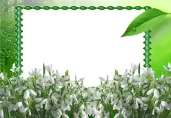 Foto-effetti della categoria Primavera № 11868 Foto-effetti della categoria Primavera № 11868