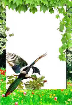 Foto-effetti della categoria Primavera № 147761 Foto-effetti della categoria Primavera № 147761