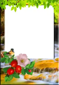 Foto-effetti della categoria Primavera № 148967