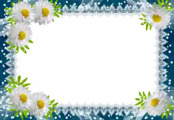 Foto-effetti della categoria Primavera № 149188