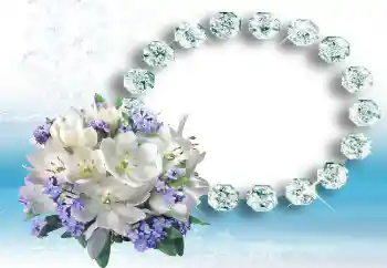 Foto-effetti della categoria Primavera № 1974