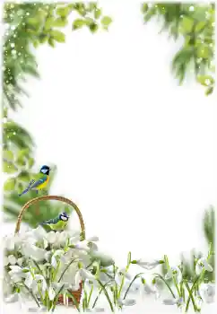 Foto-effetti della categoria Primavera № 205355