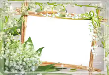 Foto-effetti della categoria Primavera № 32831