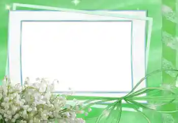 Foto-effetti della categoria Primavera № 33834