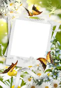 Foto-effetti della categoria Primavera № 4611 Foto-effetti della categoria Primavera № 4611