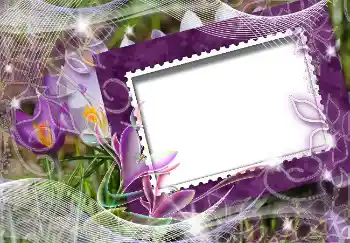 Foto-effetti della categoria Primavera № 4618