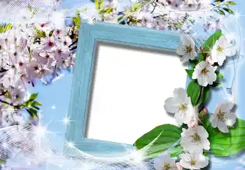 Foto-effetti della categoria Primavera № 4619
