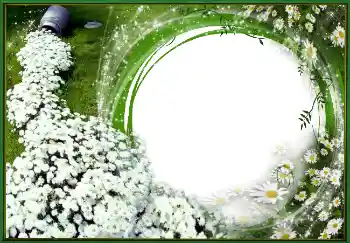 Foto-effetti della categoria Primavera № 4620