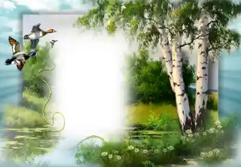 Foto-effetti della categoria Primavera № 49552