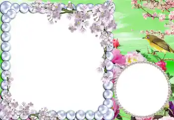 Foto-effetti della categoria Primavera № 5511 Foto-effetti della categoria Primavera № 5511