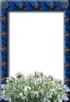 Foto-effetti della categoria Primavera № 8734 Foto-effetti della categoria Primavera № 8734