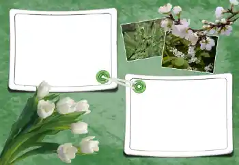 Foto-effetti della categoria Primavera № 93095 Foto-effetti della categoria Primavera № 93095