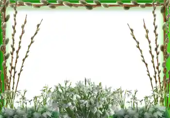 Foto-effetti della categoria Primavera № 94595 Foto-effetti della categoria Primavera № 94595