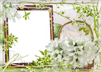 Foto-effetti della categoria Primavera № 980