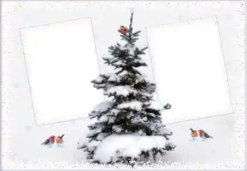 Foto-effetti della categoria Inverno № 105223