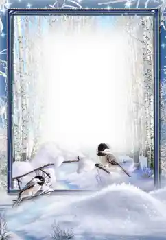 Foto-effetti della categoria Inverno № 105248