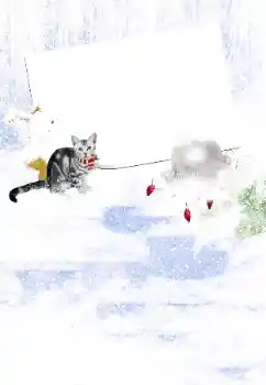 Foto-effetti della categoria Inverno № 105450
