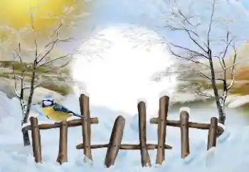 Foto-effetti della categoria Inverno № 110837