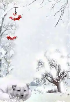 Foto-effetti della categoria Inverno № 111870