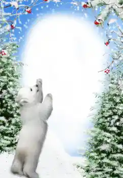 Foto-effetti della categoria Inverno № 111871