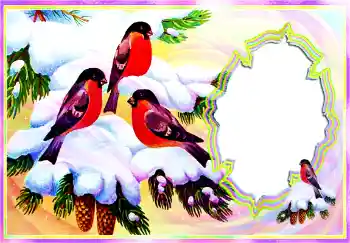 Foto-effetti della categoria Inverno № 112098