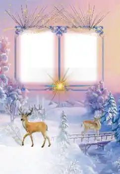 Foto-effetti della categoria Inverno № 128508