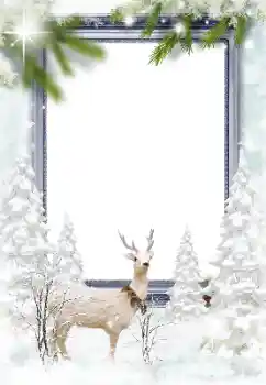 Foto-effetti della categoria Inverno № 128652
