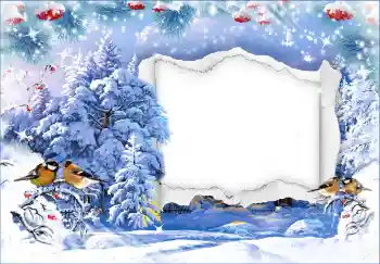 Foto-effetti della categoria Inverno № 128673